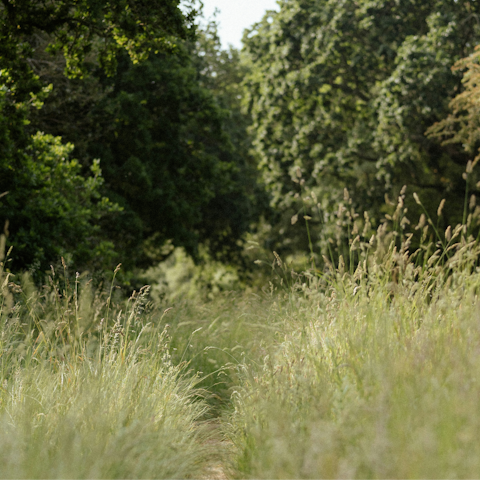 Spend an afternoon strolling through nearby Hackney marshes