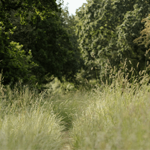 Spend an afternoon strolling through nearby Hackney marshes