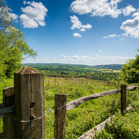 Discover the nearby Surrey Hills walking trails