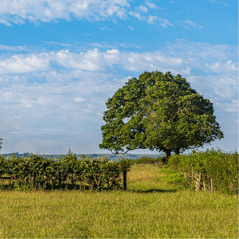 Explore the nearby village of Lydbrook or have a walk in the countryside
