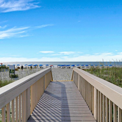 Spend the day at Hilton Head Beach, a short walk away
