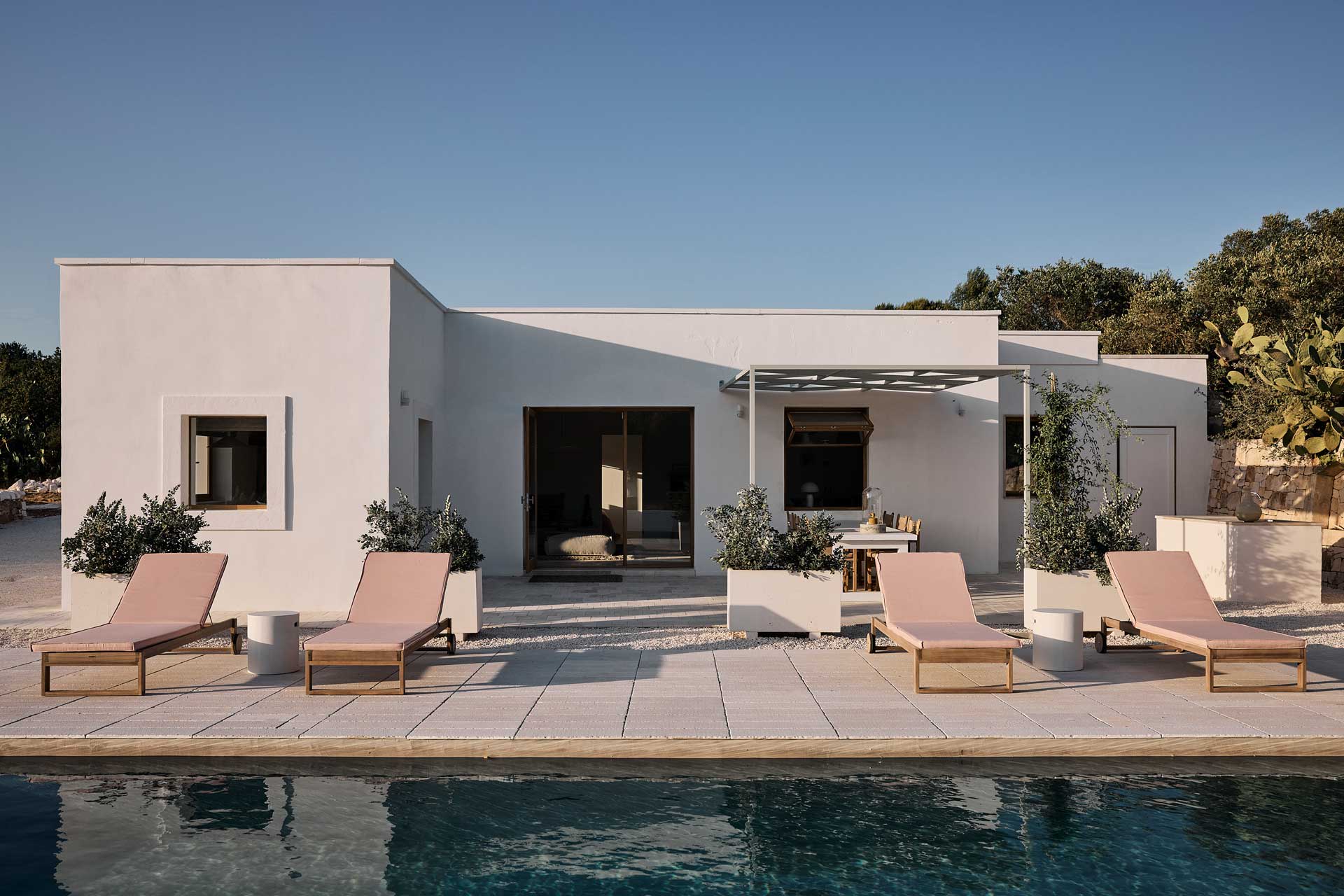 Olive Tree Terrace