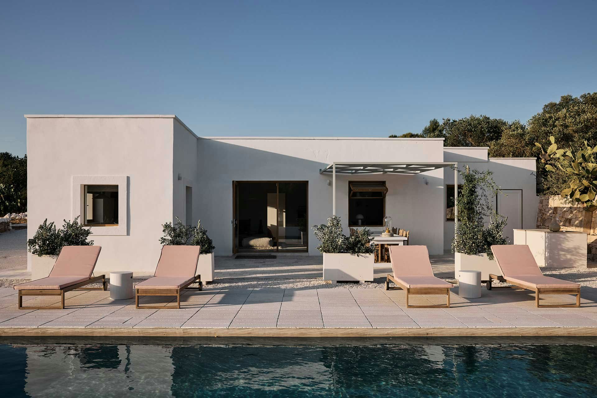 Olive Tree Terrace