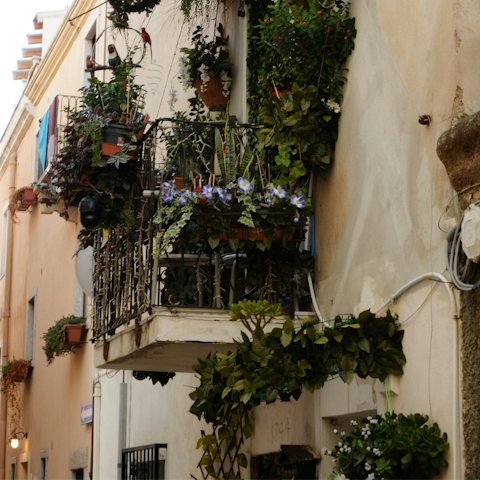Step outside and explore the historic heart of the city