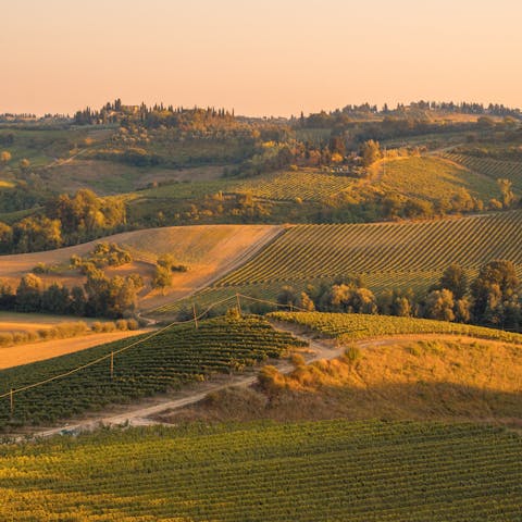 Explore the hilltop villages, sip incredible wines from local vineyards and sample mouthwatering olive oils