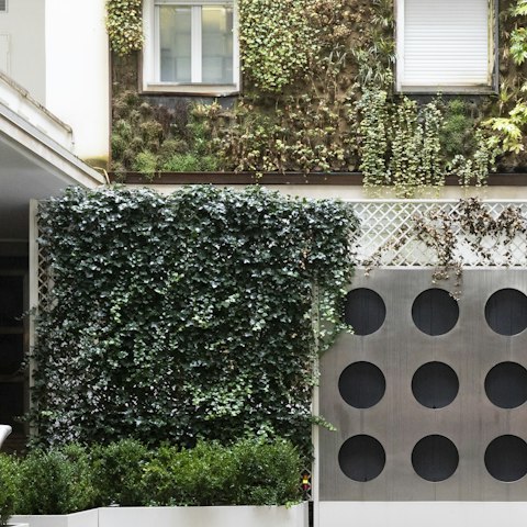 The living wall in the courtyard