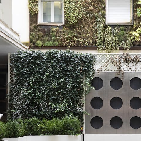 The living wall in the courtyard