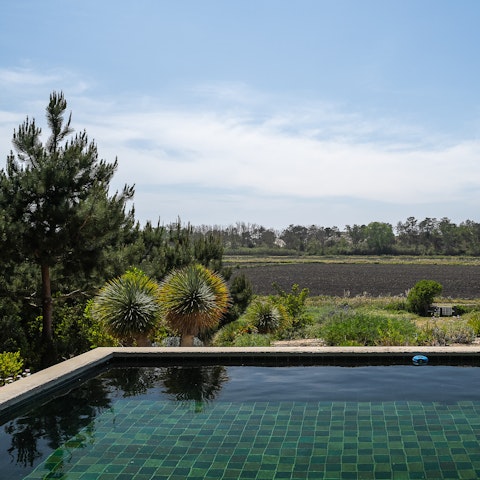 Enjoy beautiful views while swimming in the pool