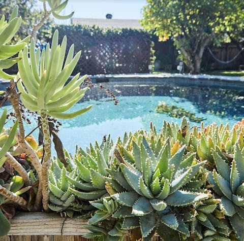 Swim surrounded by all kinds of lush vegetation