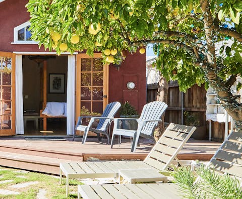 Pick fresh lemons of the tree right outside the bedroom and make lemonade to enjoy on the loungers