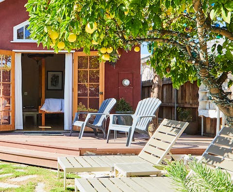 Pick fresh lemons of the tree right outside the bedroom and make lemonade to enjoy on the loungers