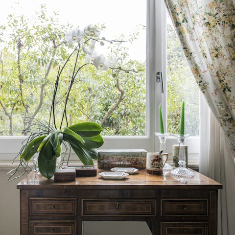 Tonnes of natural light