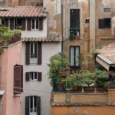 The view from the windows