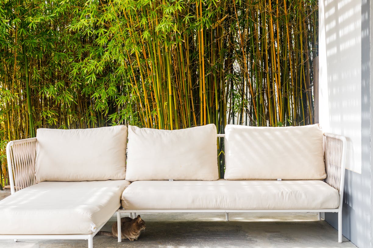 Atlantic Sand Dunes, Carvalhal, Grândola | Plum Guide Image João Carrasqueira image beautiful image beautiful image beautiful image beautiful image beautiful image beautiful - Atlantic Sand Dunes, Carvalhal, Grândola | Plum Guide