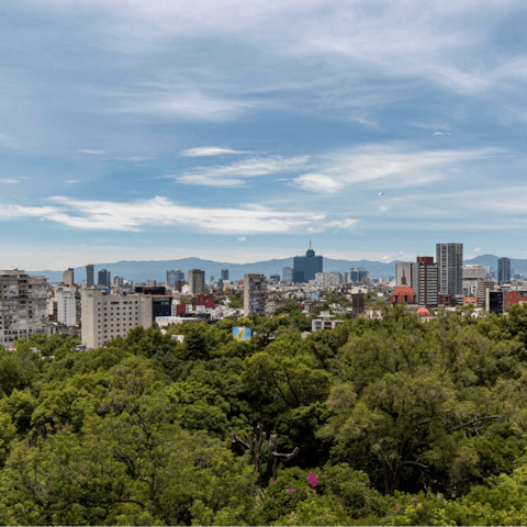 Explore the street food stalls and late-night beat of Mexico City