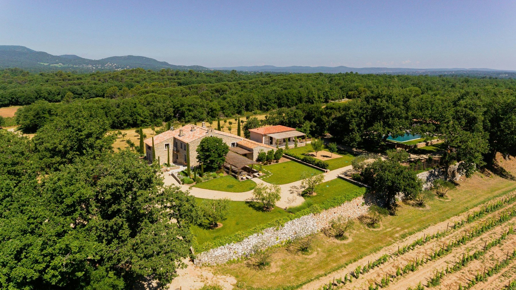 Sainte Baume in Bloom