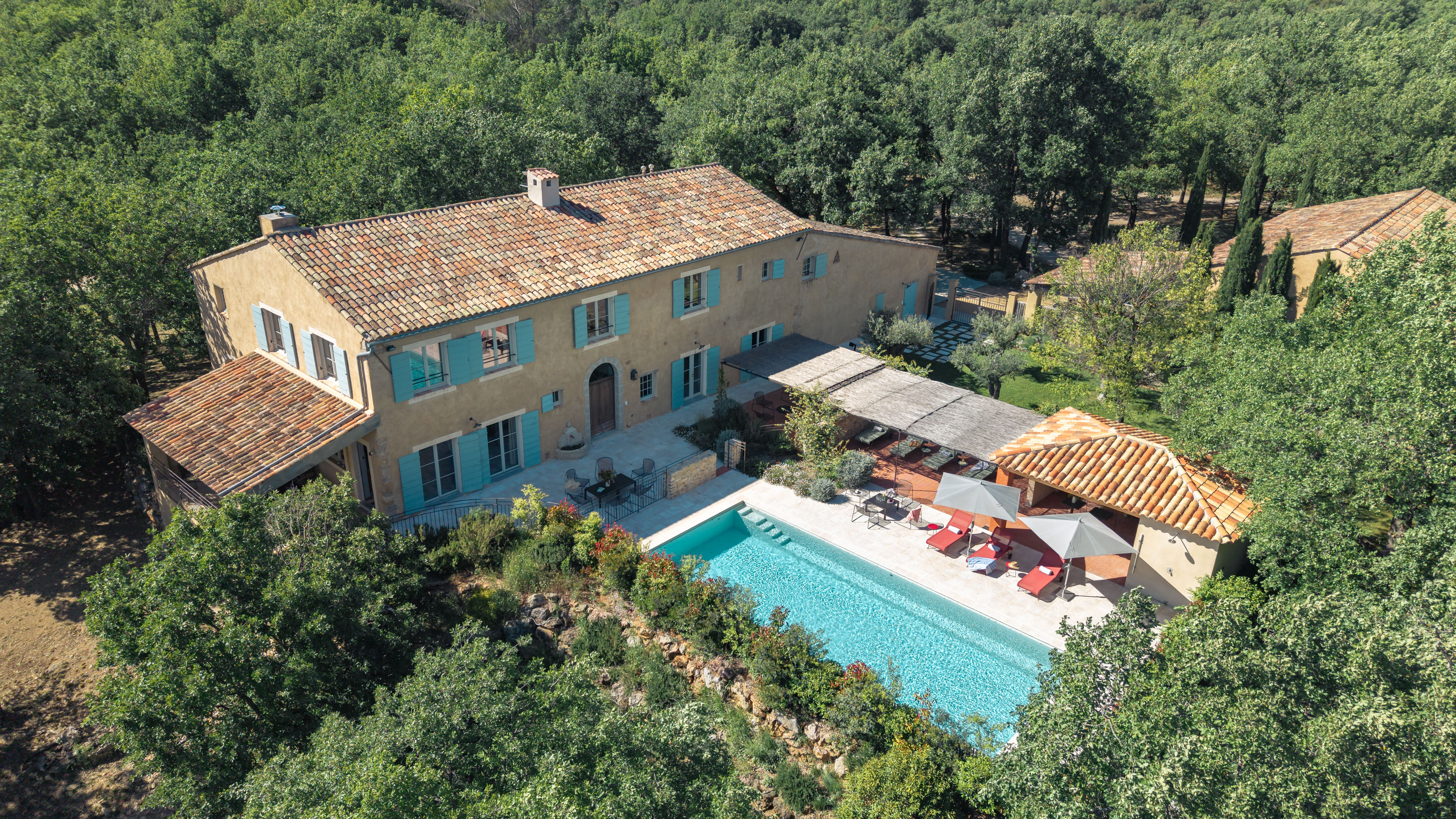 Sainte Baume in Bloom
