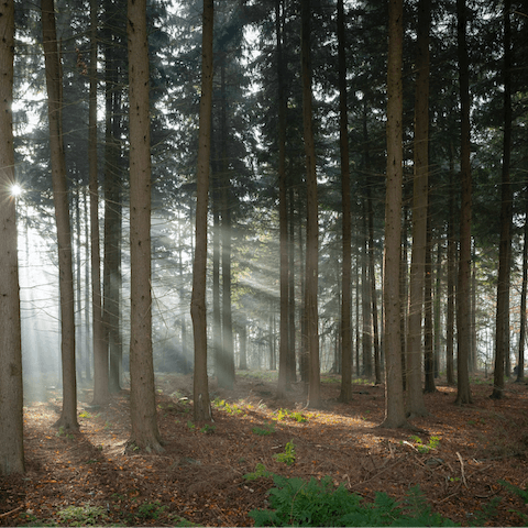 Head out on a long ramble through the local Lincolnshire countryside