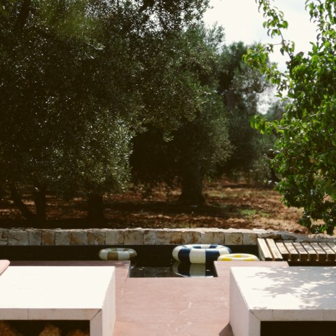 Enjoy views of the olive grove from the pretty pool