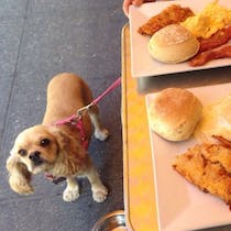 Grab a bite and bring your dog to Barking Dog