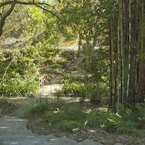 Explore the UCLA Botanical Garden