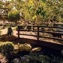 Stroll through Kenneth Hahn State Park