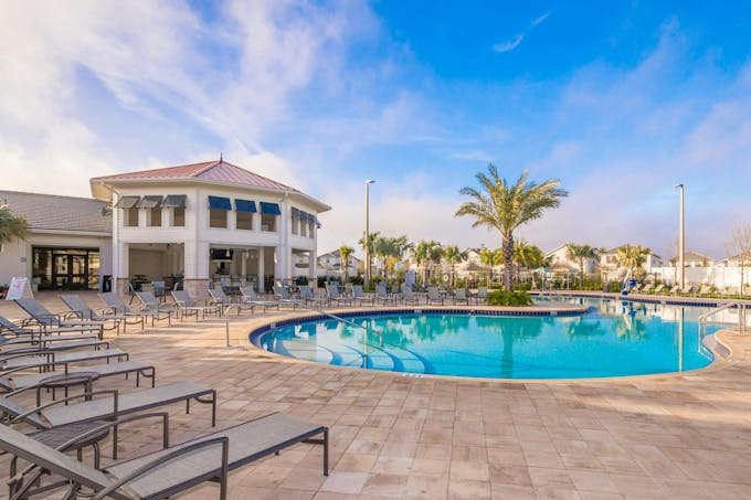 Palmview Paradise
