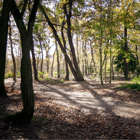 Enjoy a rejuvenating stroll around the Bois de Boulogne