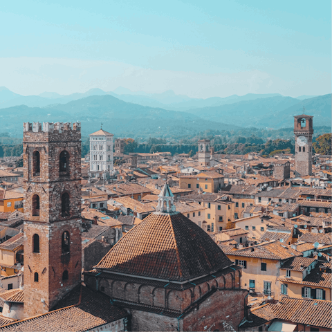 Drive down to Lucca and visit the famous Guinigi Tower