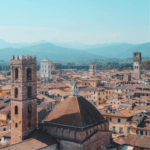 Drive down to Lucca and visit the famous Guinigi Tower