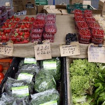Stock up at Earl's Court Farmer's Market