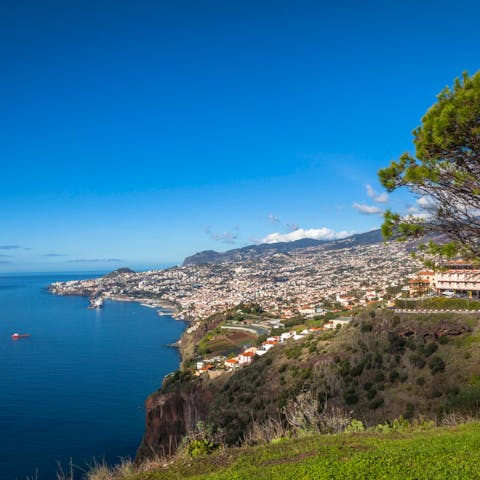Uncover the magic of Madeira from its captivating natural beauty, to the liveliness of Funchal's backstreets