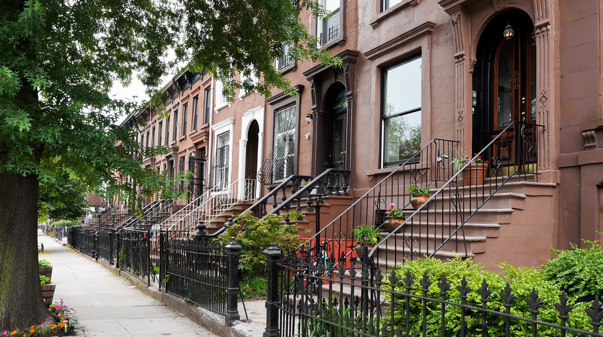 Eclectic Avenue, Brooklyn, New York | Plum Guide