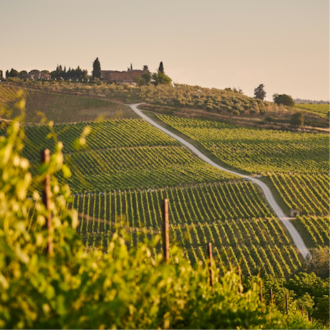 Stay within the rolling landscapes of the Tuscan countryside