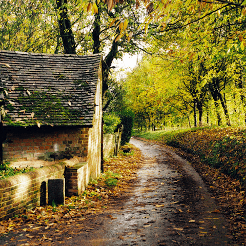 Lace up your hiking boots and explore the New Forest National Park – it's 1.5 miles away