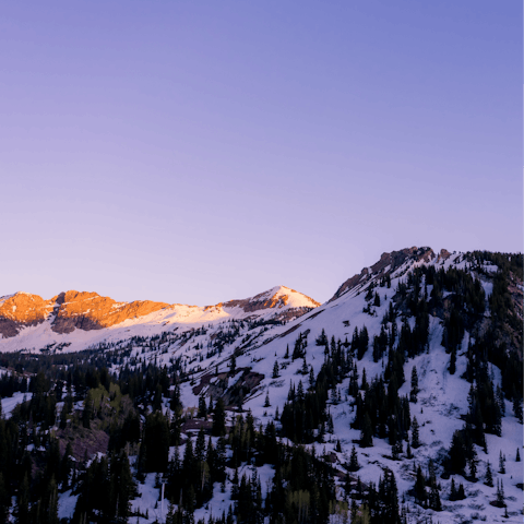 Enjoy the stunning Wasatch Mountains of the Alta ski area – it's less than 30 miles from Salt Lake City