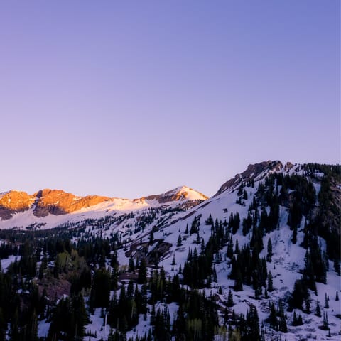 Enjoy the stunning Wasatch Mountains of the Alta ski area – it's less than 30 miles from Salt Lake City
