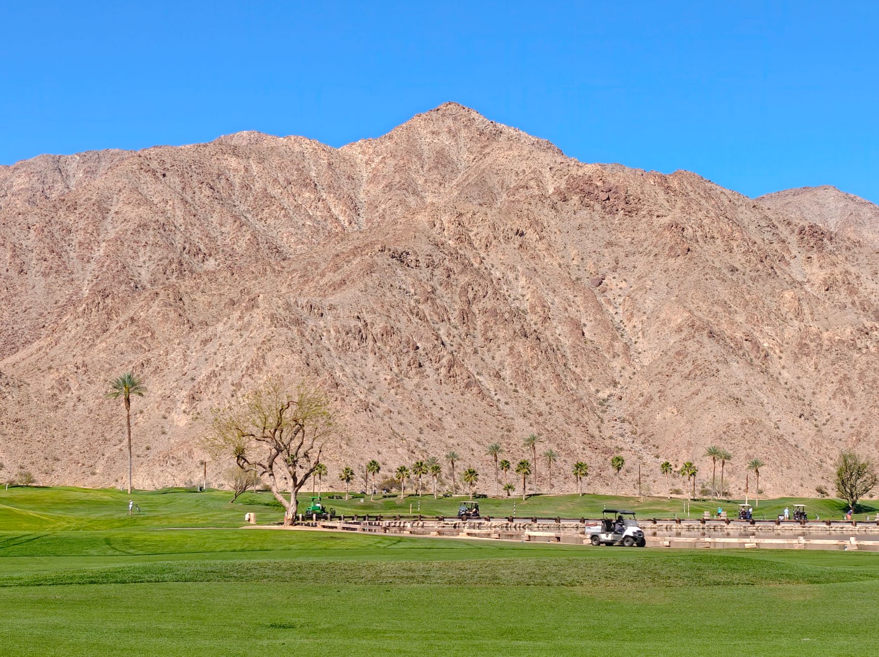 Desert Embers Rising