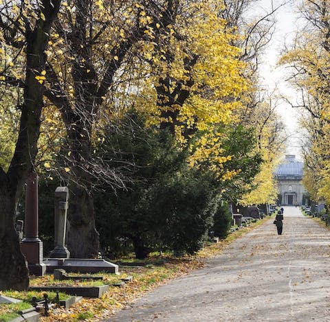 Take a walk through your leafy, local area of Kensington