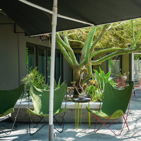 Soak up some rays in the shared garden – a rarity in LA