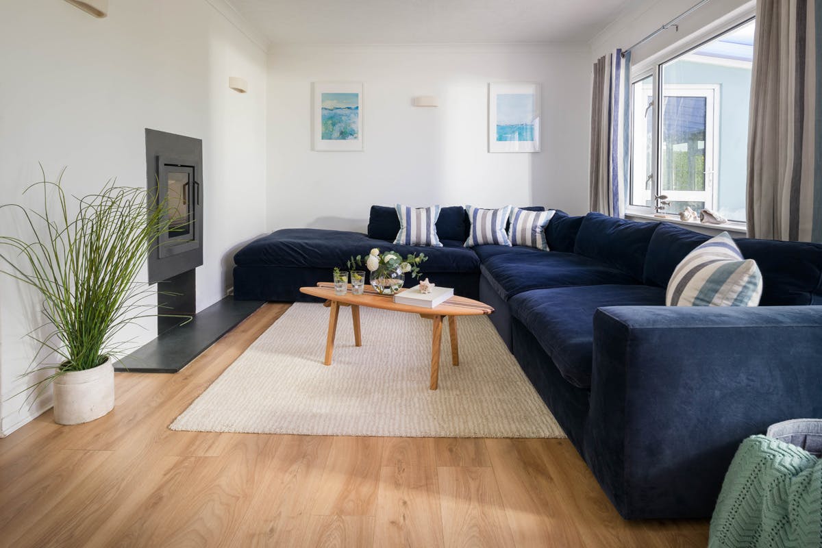 Pawprints in the Sand