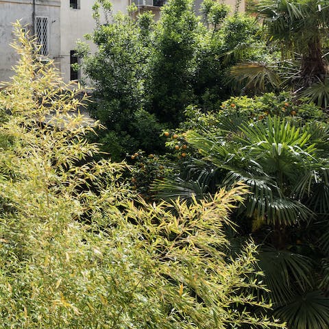 The greenery behind the flat