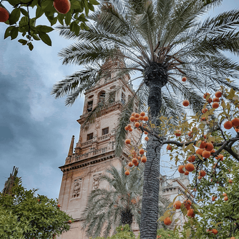 Make a beeline for Cordoba's historic centre, 2 kilometres away