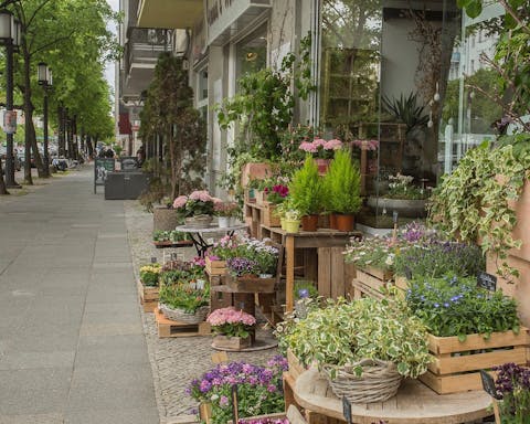 Located in calm Charlottenburg