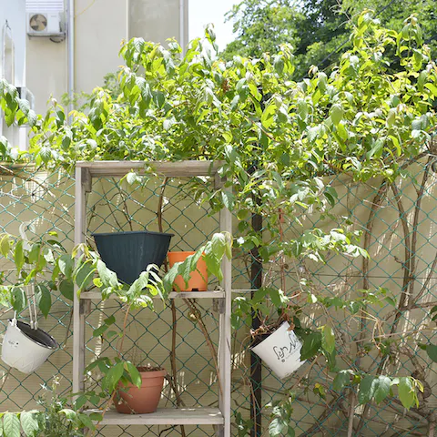 Plenty of greenery on the terrace
