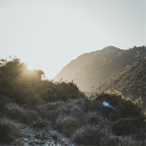 Immerse yourself in the natural beauty of Mallorca, away from the hustle and bustle