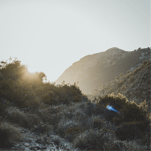 Immerse yourself in the natural beauty of Mallorca, away from the hustle and bustle