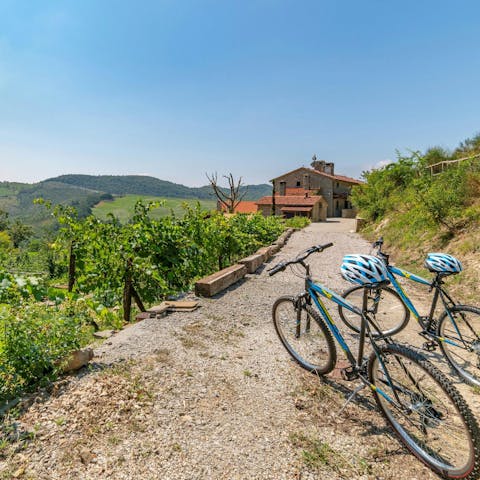 Explore the paths and trails of the park using the mountain bikes provided
