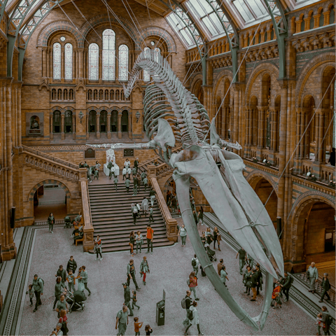 Visit the Natural History Museum – it's a nine-minute walk away