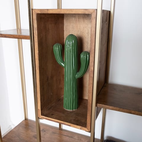 The playful cactus decorations